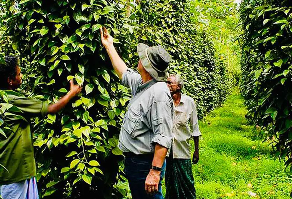 Thekkady Spice Gardens